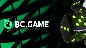 Step-by-Step Guide to BC.Game Registration Process -673394370